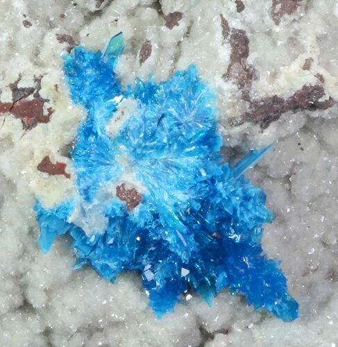 Vibrant Blue Cavansite Cluster on Stilbite - India #67790